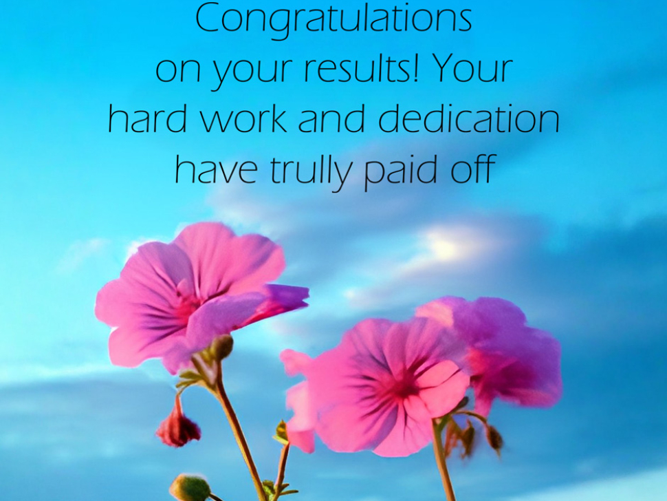 αποτελέσματα 2025